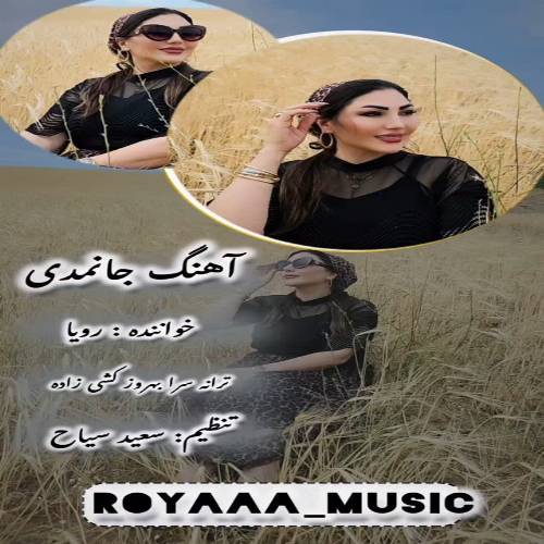 دانلود آهنگ دیجی رویا - جانیمدی (سوز دمک اولماز یاریما)